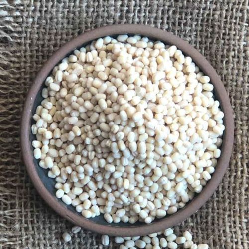 Indian White Urad Dal, Packaging Type : PP Bag