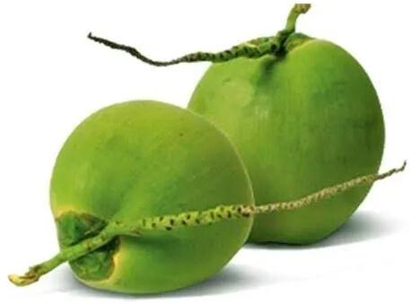 Green Organic Pure Tender Coconut, For Medicines, Packaging Type : Gunny Bags