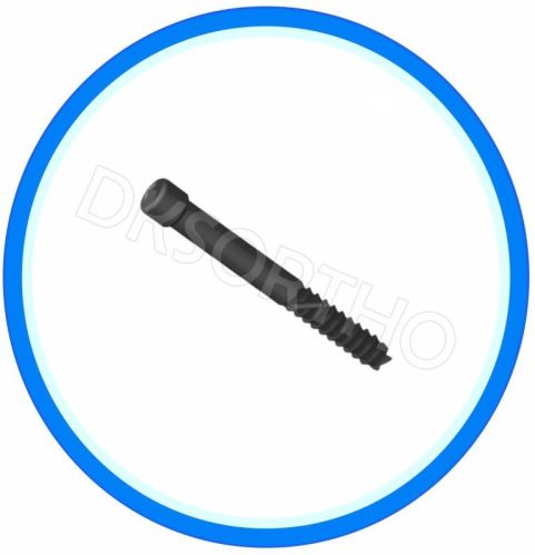 Grey 7 Mm Intramedullary Interlocking Bolt, For Hospital
