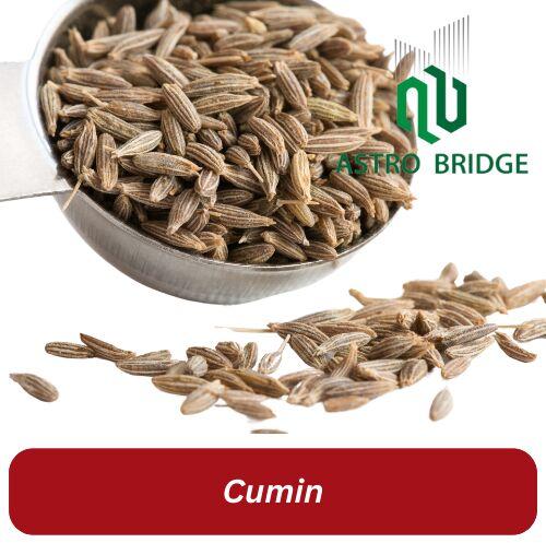Common Raw Cumin Seeds, For Food, Certification : FSSAI Certified