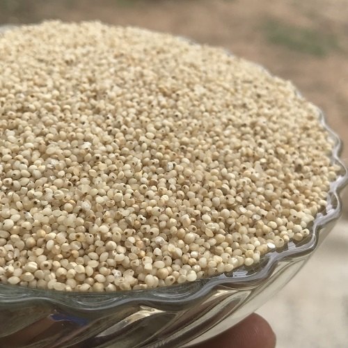 Aathorg Whole Natural Barnyard Millet (Echinochloa Esculenta), For Cooking Human Consumptions