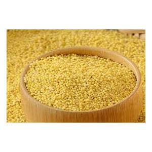 Natural Aathorg Kangani/Kakum (Setaria Italica)