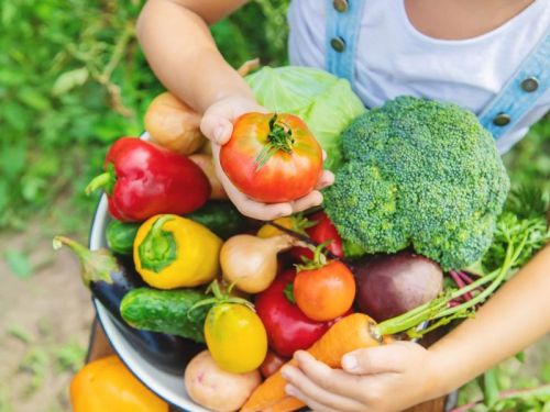 Natural Mixed Vegetables, For Cooking, Making Soup, Salid, Packaging Type : Plastic Bags, Paper Bags