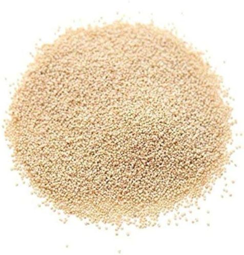 Natural White Poppy Seed, Packaging Size : 25 Kg 50 Kg