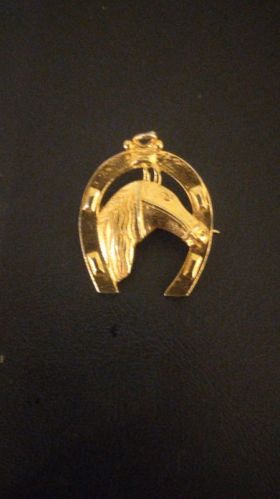 Golden 92.5 Silver Gold Polished Tie Pin, Weight : 8gm (Approx)