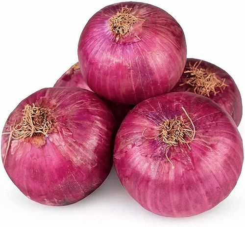 Fresh Big Red Onion, For Snacks, Cooking, Packaging Type : Gunny Bags