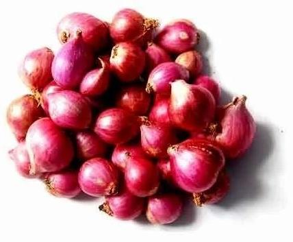 Fresh Small Red Onion, For Snacks, Cooking, Packaging Type : Gunny Bags