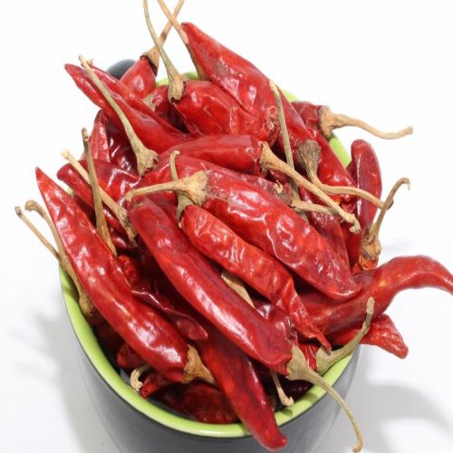 Organic Guntur Dried Red Chilli, For Cooking, Taste : Spicy