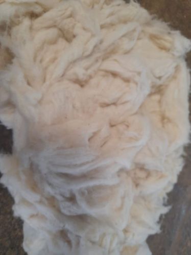 Cotton Waste Plain Carding Web Sliver, For Open End Yarn Mill