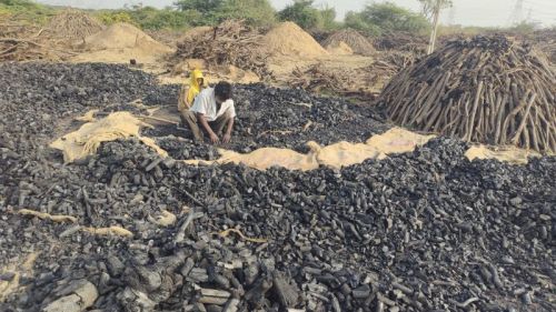 Black Balaji Wooden Charcoal