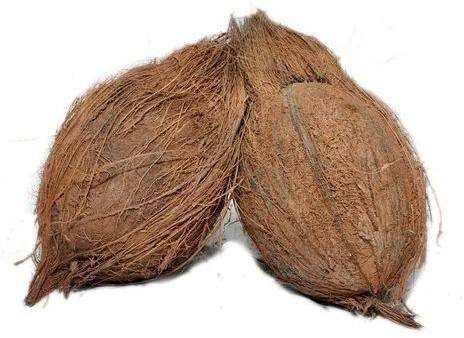 Hard Natural Pure Semi Husked Coconut, Packaging Size : 25 Kg