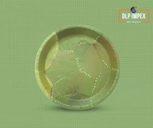 10 Inch Round Sal Leaf Plate, Color : Light Green