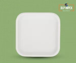 White 10 Inch Square Sugarcane Bagasse Plate, For Serving Food