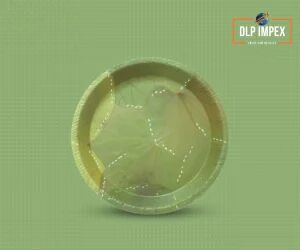 Light Green 9 Inch Round Sal Leaf Plate