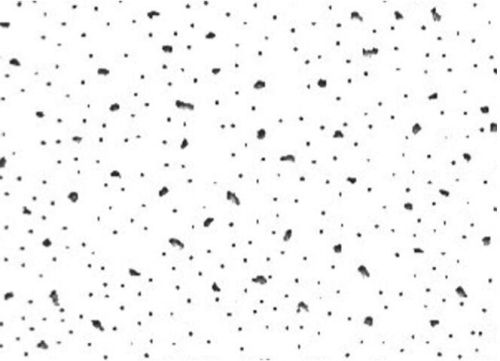 PVC Laminated Gypsum Ceiling Tiles 2'x2', 2'x4'