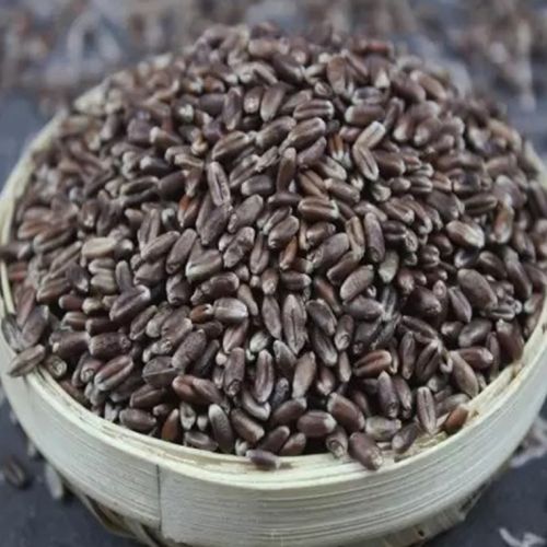 Organic Dried Black Wheat