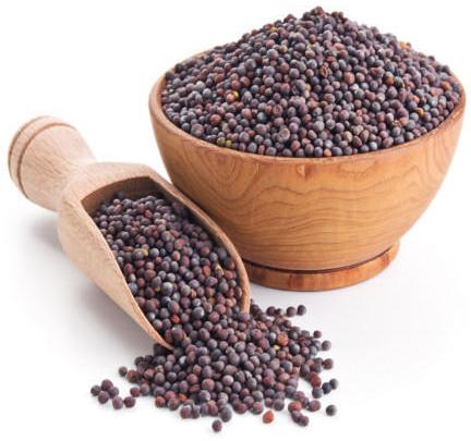 Mustard Seeds for Food Medicine, Spices