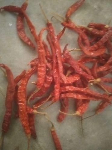 Organic Dry Red Chilli, For Spices, Grade Standard : Food Grade