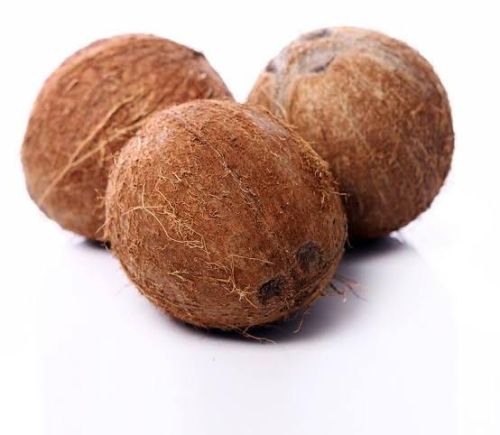 Solid Organic Brown Coconut, For Pooja, Cooking, Packaging Type : Gunny Bags