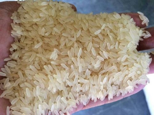 Hard Common Indian Parboiled Rice, Certification : FSSAI Certified