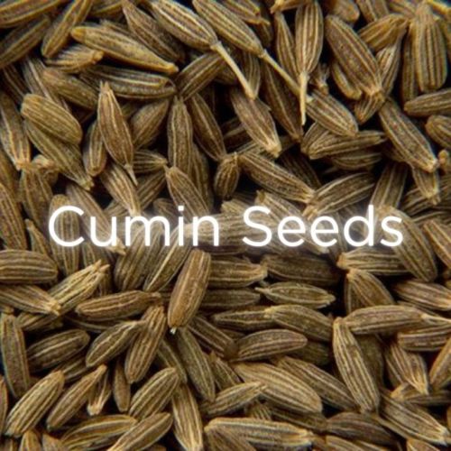 Organic Cumin Seeds, Shelf Life : 12 Months