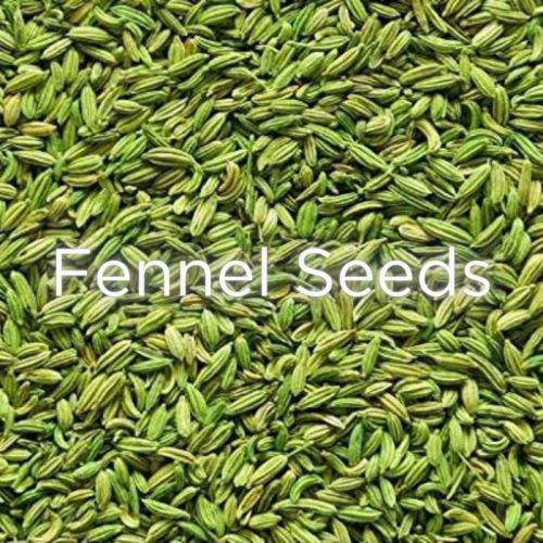 Organic Fennel Seeds, Packaging Type : Container