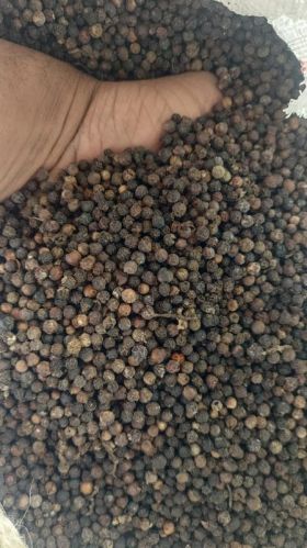 Granules Organic Black Pepper, For Spices, Grade Standard : Food Grade