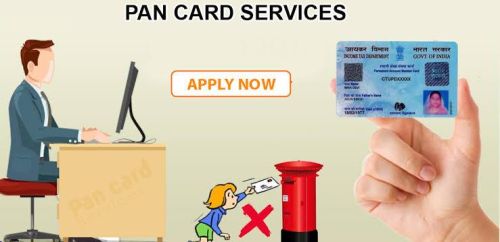 10g Plastic Pan Card Services, Shelf Life : Life Time