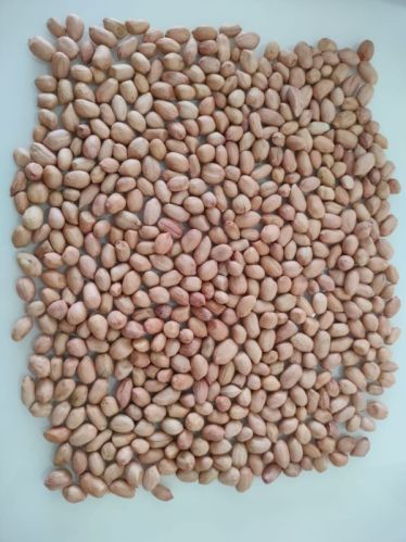 50 Kg Peanut, For Oil, Certification : Fssai