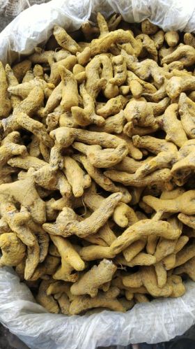 Yellowish 4000-5000kg Single Polish Turmeric Finger