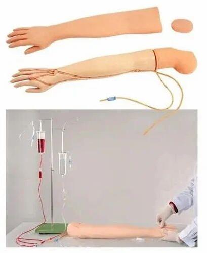 Adult IV Training Arm Model, For School, Science Laboratory, Medical College, Feature : Durable