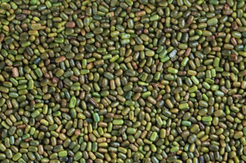 Sesbenia Seeds, For Agriculture, Style : Dried