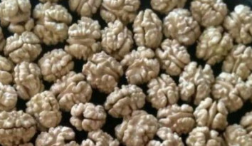 Kashmiri Walnut Kernels, Taste : Sweet