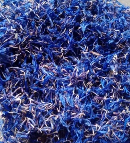 Natural Dried Blue Corn Flower, Packaging Type : PP Bag