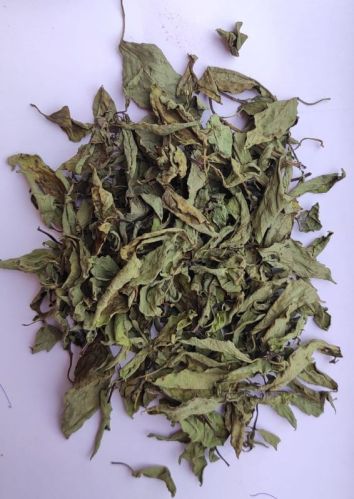 Dried Rama Tulsi Leave, Packaging Size : 25 Kg