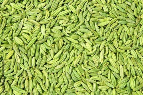 Natural A Grade Fennel Seeds, Packaging Type : Plastic Packet