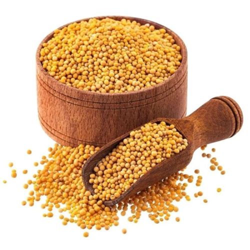 Yellow Mustard Seeds, For Cooking, Shelf Life : 6 Month