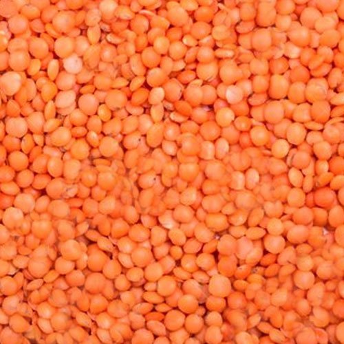 Masoor Dal, Packaging Type : Plastic Packet