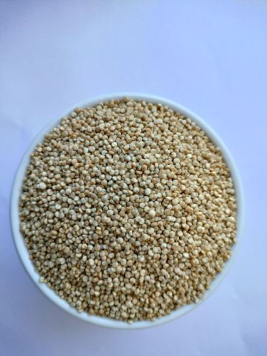 Organic Regular Quinoa Seeds, Color : Pale Yellow