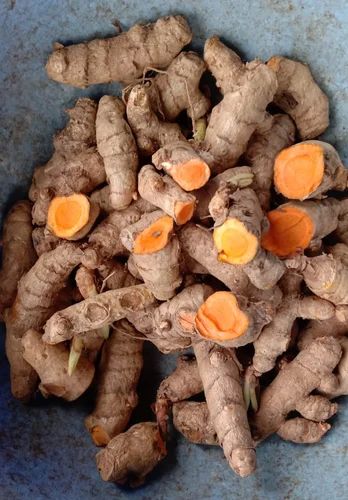 Yellow Fresh Raw Turmeric Finger, For Cooking, Food Medicine, Packaging Size : 25 Kg