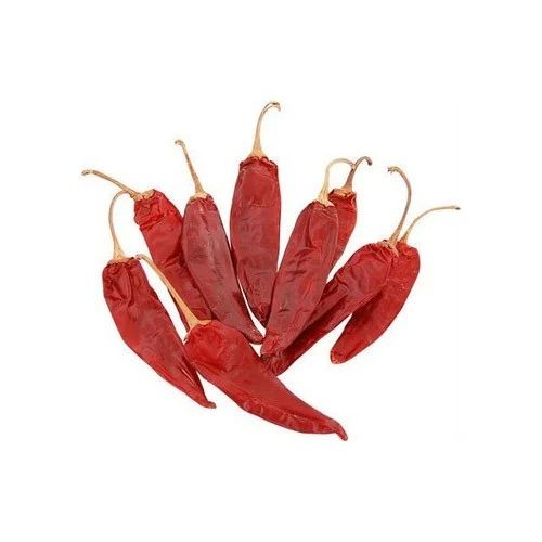 Guntur Dry Red Chilli, For Cooking, Spices, Shelf Life : 12 Month