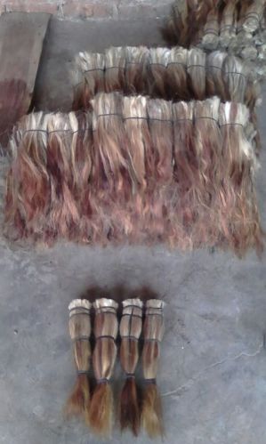Black Buffalo Tail Hair, Length : 10-20Inch