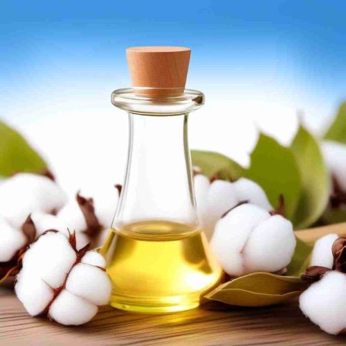 Cold Pressed Cotton Seed Oil, For Cooking Use, Medicine