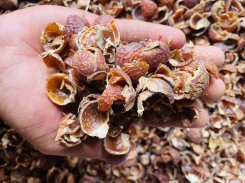 Dried Soapnut Shells, Packaging Type : Plastic Bag