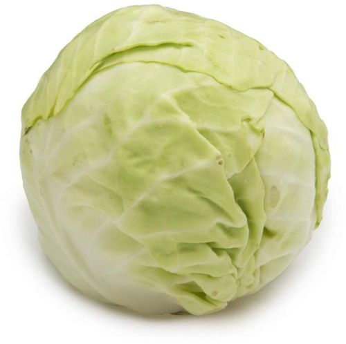 Green Fresh Cabbage, For Cooking, Shelf Life : 10 Days