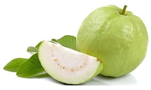 Green Round Organic Fresh Guava, For Human Consumption, Shelf Life : 10 Days