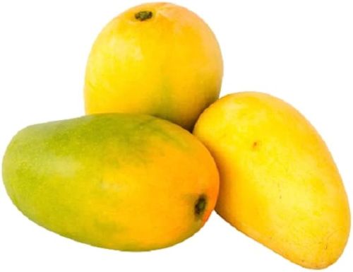 Organic Fresh Mango, Shelf Life : 5-10Days