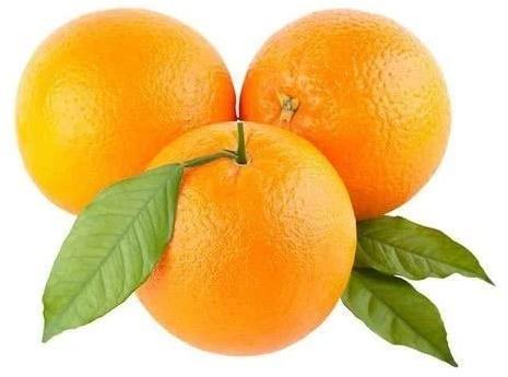 Round Organic Fresh Orange, For Juice, Jam, Taste : Sweet