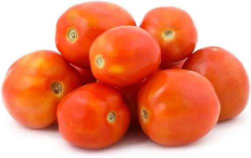 Red Organic Fresh Tomato, For Cooking, Shelf Life : 7-10days