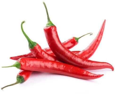 Fresh Red Chili, For Cooking, Packaging Type : Gunny Bags